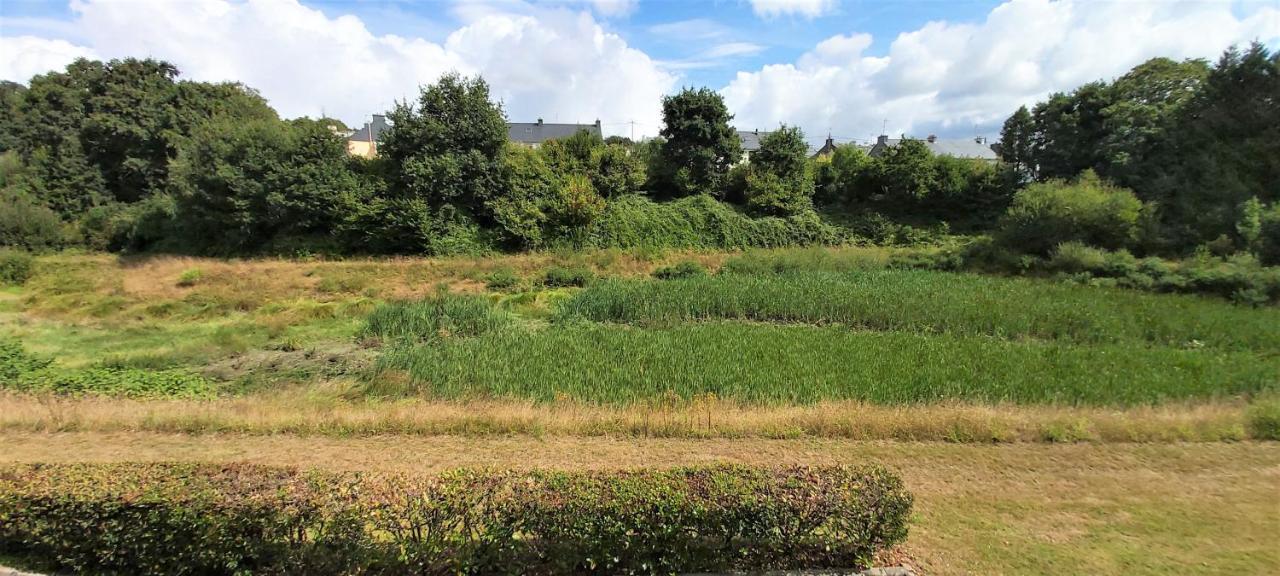 Appartement Au Calme Nature Et Centre Ville 坎佩尔 外观 照片